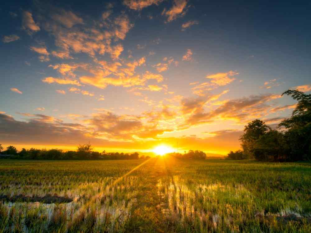 Onoranze Funebri Campodoro